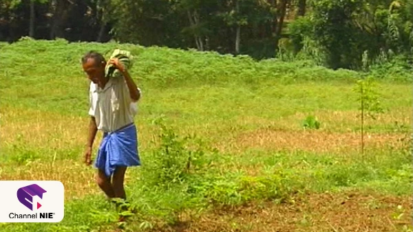 Non_Art_Dumbara kalala